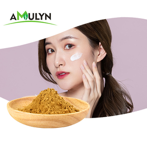 Extrait de graines de lin en poudre 20% - Product Image 5