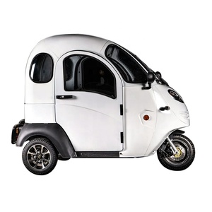 EEC COC New Electric 3-Wheel Passenger Tricycle for Elderly Fully <strong>Enclosed</strong> <strong>Mobility</strong> <strong>Scooter</strong> with 2 Passengers 501-800W Power - Product Image 1