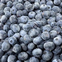 Myrtilles sauvages biologiques Meilleurs fruits frais cueillis en vrac non sucrés surgelés congélation IQF Compliments Prix de gros