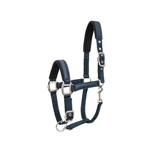En gros, Collier de tête en nylon pour cheval, réglable, rembourré en néoprène, confortable et durable, pour l'équitation et la course - Product Image 5