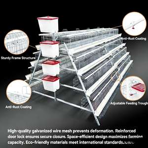 Vente <span class=keywords><strong>en</strong></span> gros de cages à poules pondeuses de type A, 3 niveaux, 4 niveaux, système automatique de batterie, fermes avicoles, cages à poulets de chair d'occasion à vendre - Product Image 6