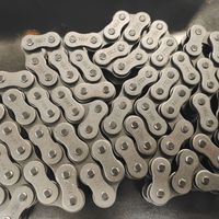 Chaîne à rouleaux double rangée 16A pour transmission de puissance, haute résistance à la traction, traitement thermique pour impression UV, pour la construction et l'agriculture