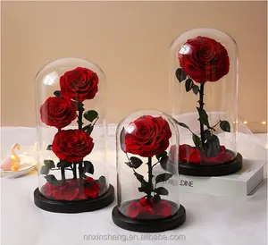 豪华保鲜花玻璃圆顶红色保鲜玫瑰礼品套装情人节浪漫真玫瑰花圆顶礼品
