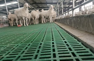 Nuova Piastra Antiscivolo in PP per Pavimenti di Ovini, Facile da Installare, Gestione del Letame per <span class=keywords><strong>Produzione</strong></span> Commerciale di Ovini - Product Image 3