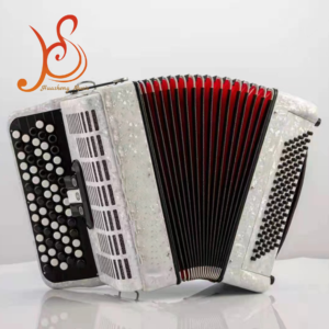 Accordéon à boutons professionnel 60 basses Bayan 3 registres, vente en gros, direct usine, instrument de musique OEM - Product Image 2