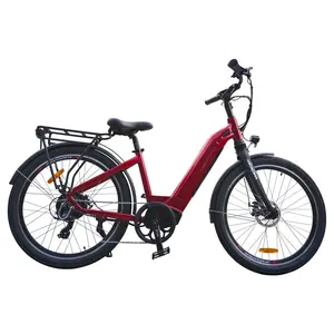 Lantu Ebike 26 Inch 48v Hidden Battery 250W 500W 750W Powerful Pedal Assisted Low Entry Electric City Bikes