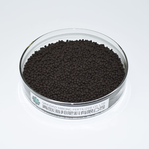 Acide humique granulaire d'<span class=keywords><strong>engrais</strong></span> <span class=keywords><strong>organique</strong></span> à libération lente de NPK pour le bonsaï de raisin pour l'usage agricole - Product Image 1