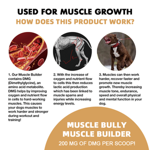 Suplemento para Aumentar Peso <span class=keywords><strong>en</strong></span> Perros, Ganador de Peso Personalizado, Proteína <span class=keywords><strong>en</strong></span> Polvo para Desarrollo Muscular Canino, Alimento Suplementario Alto <span class=keywords><strong>en</strong></span> Calorías para Perros - Product Image 6