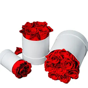 güzellik beast gül kutusu Suppliers-Fabrika kaynağı özelleştirme korunmuş gül aranjmanı hediye kutusu çiçek kırmızı sonsuz sevgililer günü hediyesi