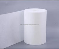 FULIO EPTFE 100% Sac en film PTFE Membrane de purification d'air hydrophobe Feuilles de plastique microporeuses