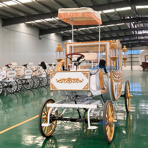 Carruaje Eléctrico de Estilo Real Más Vendido para Bodas y Turismo, Color Personalizado, Neumáticos de Goma Sólida, Uso en Parques de Atracciones - Product Image 1