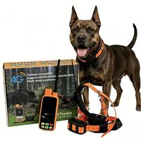 Collier de suivi GPS pour chien de qualité militaire, double antenne (GPS/GSM), étanche IP68, autonomie de 28 heures, balise LED, Bluetooth pour
