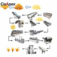 Automatische PLC-gestuurde machine voor de verwerking van fruit & groente frites, 500-1000 kg/uur voor grootschalige productie