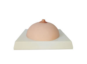 Modelo Anatômico para Autoexame de Mama Humana, Modelo Didático para Exame Mamário - Product Image 2