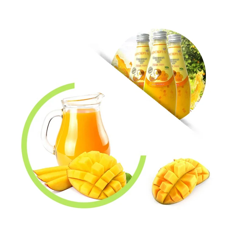 Natürlicher Mango-konzentrierter Saft, fermentiert von Lacto bacillus planta rum