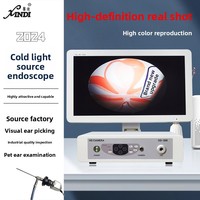 Endoscope visuel HD 21,5 pouces avec éclairage LED pour nettoyage d'oreilles, inspection ORL vétérinaire et qualité industrielle des canalisations multifonctionnelles