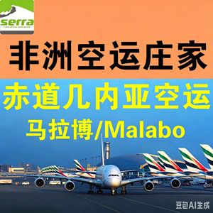 Servicio de Transporte Aéreo Exprés desde Guangzhou y Shenzhen a África, Consolidación para Gabón, Sudáfrica y Congo - Product Image 5