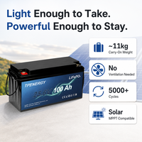 TPENERGY Baterai Lithium LiFePO4 Ringan 12V 24V 100Ah 200Ah 300Ah untuk Sistem Tenaga Surya Rumah Tangga, Penyimpanan Off-Grid dengan BMS untuk RV