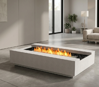 Table de foyer décorative moderne en acier multi-combustibles (bois/gaz) pour usage intérieur/extérieur dans les villas et les maisons d'hôtes