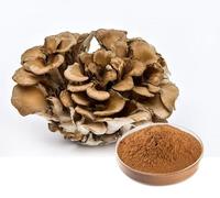 Fabrieksleverancier Natuurlijk Maitake Poeder Grifola Frondosa Vruchtvormende Lichaamspoeder Voedingsmiddelkwaliteit Grondstof