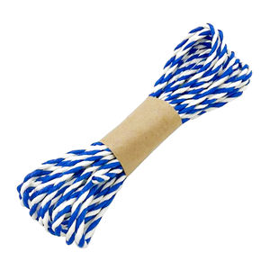 Rafia Plana Resistente y Duradera, Ideal para Manualidades, Cuerda de Rafia Hecha a Mano para Bolsas Ecológicas, Decoración de Regalos y Paquetes - Product Image 2