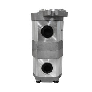 مضخة تروس أوتوماتيكية مزدوجة من مرحلتين Lifthydrau مضخة تروس مزدوجة ماكينة تعبئة السوائل مضخة نقل كهربائية - Product Image 3