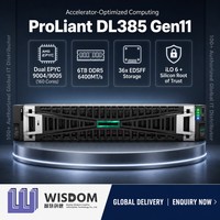 Nuevo Servidor en Rack HPE ProLiant DL385 Gen11 Original con Dos Procesadores AMD EPYC de 160 Núcleos, 6 TB de DDR5, PCIe Gen5, GPU para IA, Análisis de Big Data, 2U