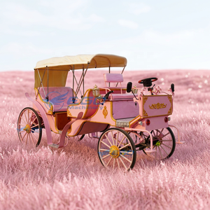 Chariots à chevaux européens pour touristes, chariots à chevaux roses pour visites touristiques, chariots à chevaux électriques pour mariages - Product Image 1