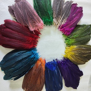 Pluma <span class=keywords><strong>de</strong></span> Gallo <span class=keywords><strong>de</strong></span> Guinea Teñida <span class=keywords><strong>de</strong></span> Alta Calidad, <span class=keywords><strong>de</strong></span> 15-20 cm, Precio <span class=keywords><strong>de</strong></span> Ganga Profesional, <span class=keywords><strong>Venta</strong></span> al por Mayor <span class=keywords><strong>de</strong></span> Fábrica - Product Image 2