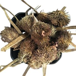 Zi Zhui Hua Organic Health Herb Flower Tea Coneflower púrpura seca/Echinacea Purpurea - Product Image 1