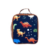 Sac isotherme personnalisable pour enfants avec impression, réutilisable, en PEVA, avec poche latérale en filet, OEM ODM