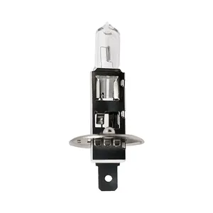 Hsg xe Halogen đèn 55W 100W H1 H3 H4 H7 H8 H9 H11 9005 HB3 9006 tự động Bóng đèn Halogen đèn sương mù 12V 6000K 3000K đèn pha đèn