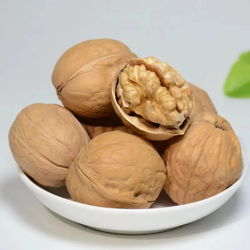 Kenari penjual terbaik produsen grosir Premium organik kenari di shell Turki kacang walnut untuk dijual