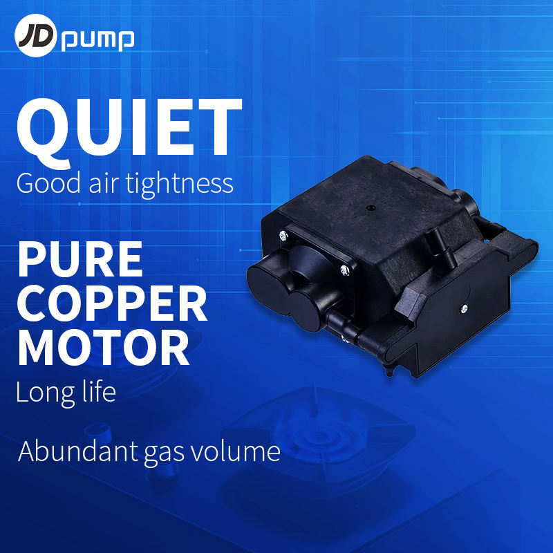 JDpump AP-MP50 Electric Air Pump for Massage Chair Fogger AC110V/220V ...