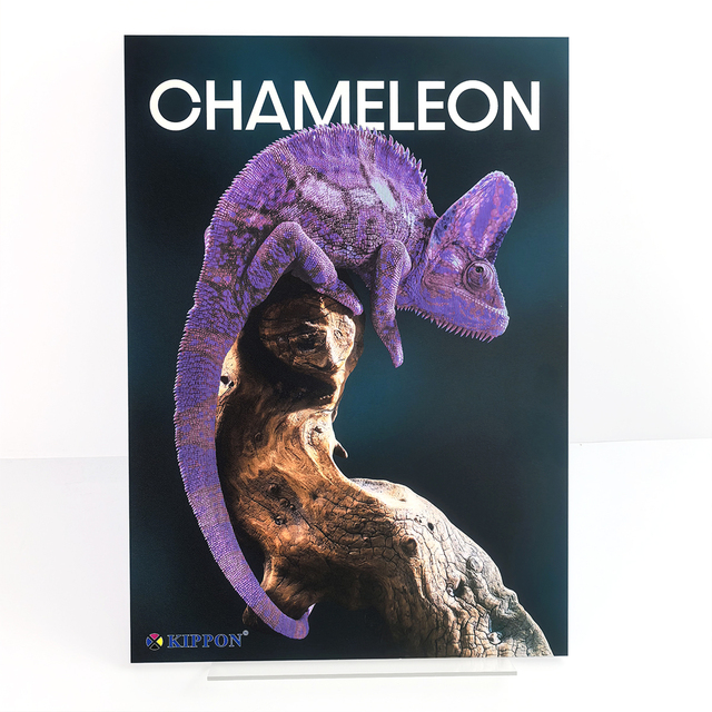 Custom 3D Art Print Gallery Collectibles Chameleon Lenticular Raised Embossed Printing Exhibition Promotion Poster Board Display