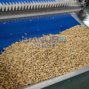 High Productivity Peanut Drying Machine Mesh Belt Dryer Peanut Dehydration Processing Equipment Plant - Product Image 4