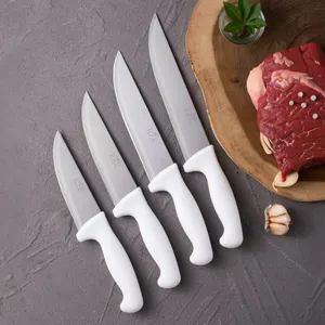 Custom Brand Best seller tradizionale piccolo all'ingrosso set di coltelli per la cucina