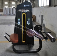 Machine de courbure de jambe sujette professionnelle pour la gymnastique-Équipement de courbure de ischio-jambiers réglable pour la musculation