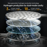 Fabricant vente directe bouteille d'eau hydrogène portable SPE PEM bouteille d'eau hydrogène intelligente pour la santé anti-âge