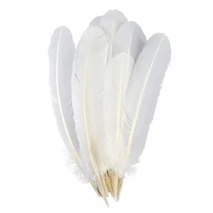 Atacado 25-30 cm Branco Turquia Quill Penas Turquia Asas Pena Para Traje De Carnaval Indiano Cocar Ângulo Asas Decoração