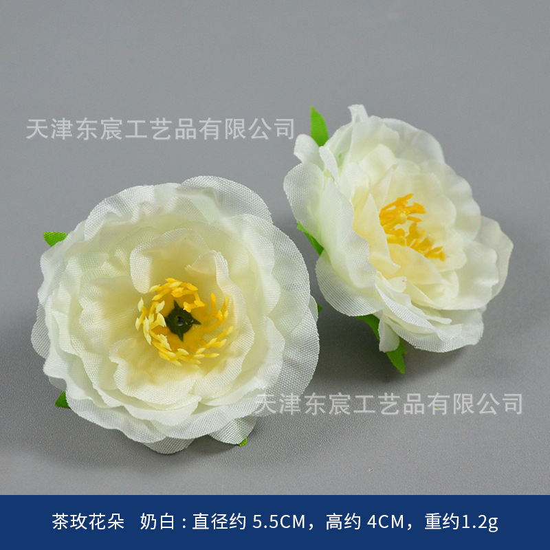 Tea rose blossoms, milky white