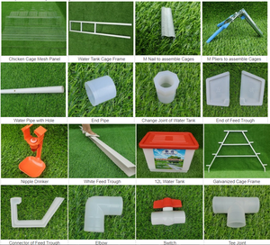 Trang Trại Gà Angola Lồng Nuôi Gia Cầm Chạy Pin Gà Mái - Product Image 6