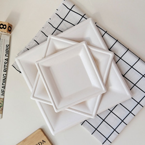 Tùy Chỉnh Mía Bã Mía Bột Giấy Món Ăn Tấm Compostable Phân Hủy Sinh Học Dùng Một Lần Bã Mía Lớn Tấm Khay - Product Image 2