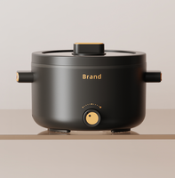 OEM Prix compétitif Marmite portable Mini cuisinière de voyage portable Poêle électrique antiadhésive multifonctionnelle pour sauté