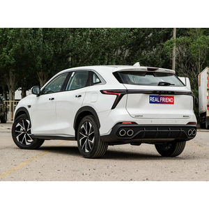 SUV d'<span class=keywords><strong>occasion</strong></span> de marque chinoise KAIYI KUNLUN 1.6T Turbo, empattement 2820 mm, 5/7 <span class=keywords><strong>places</strong></span>, véhicule familial spacieux - Product Image 6