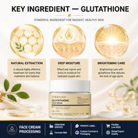 Crème Visage Bio Personnalisable OEM au Glutathion, Rétinol et Arbutine – Correcteur Anti-Taches pour Peaux Foncées