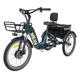 성인용 3 륜 전기 자전거 e trike 전기 trike 뒷좌석 지방 타이어 trike 오토바이 750w 모터