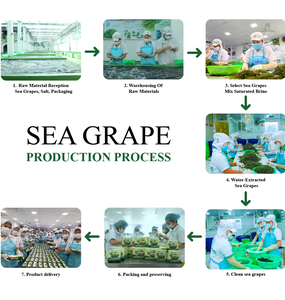 ขนมบาร์องุ่นทะเลรสเนยกระเทียมมีถุง18กรัมขนมเพื่อสุขภาพ - Product Image 6