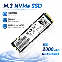 SSD Gaming Gen3 M.2 NVMe dengan Transfer Data Kecepatan Tinggi untuk E-sports Tingkat Pemula dan Rakitan Komputer Gaming Rumahan
