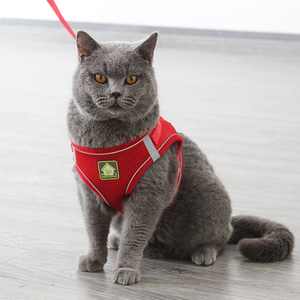 Breathable No <strong>Pull</strong> Mesh Pet <strong>Leash</strong> and Harness Vest Belt for Dogs Cats - Product Image 6